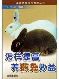 怎样提高养獭兔效益
