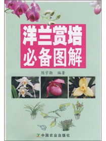 洋兰赏培必备图解