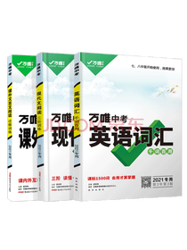 万维中考英语词汇套装