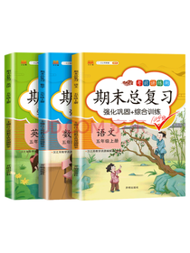 开明出版社期末总复习套装