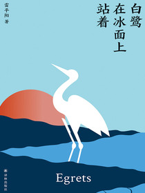 白鹭在冰面上站着