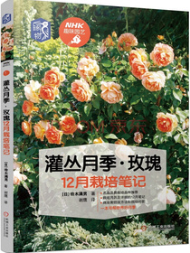 灌丛月季 玫瑰12月栽培笔记