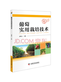 葡萄实用栽培技术