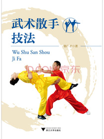 武术散手技法