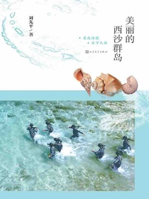 美丽的西沙群岛