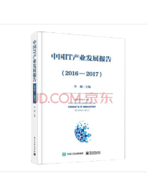 李颖《中国IT产业发展报告》