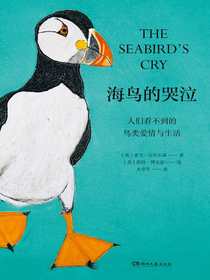 海鸟的哭泣