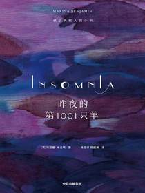 昨夜的第1001只羊：献给失眠人的小书