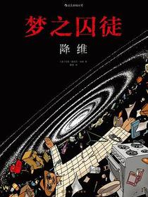 梦之囚徒：降维