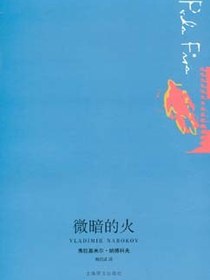 微暗的火