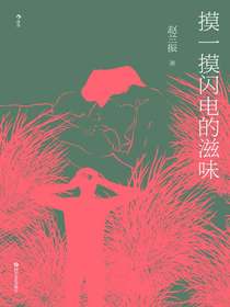 摸一摸闪电的滋味