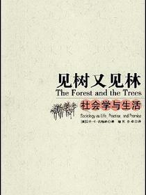 见树又见林