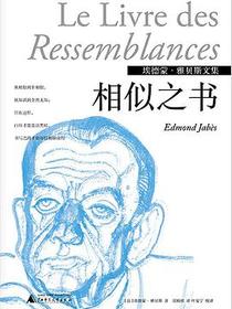 相似之书