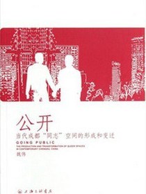 公开
