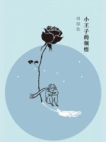小王子的领悟