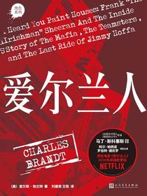 爱尔兰人