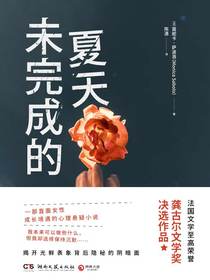未完成的夏天