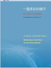 一面多彩的镜子