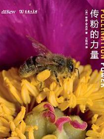 传粉的力量