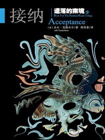 遗落的南境3：接纳