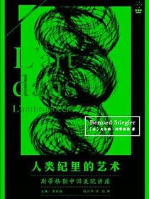 人类纪里的艺术：斯蒂格勒中国美院讲座