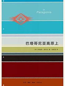 巴塔哥尼亚高原上