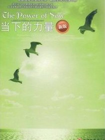 当下的力量