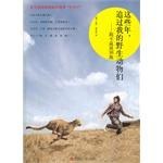 这些年，追过我的野生动物们
