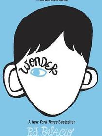 Wonder