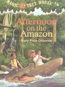 Afternoon on the Amazon