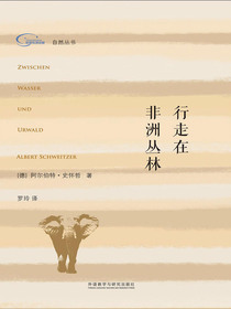 行走在非洲丛林