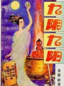 九阴九阳