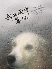 我在雨中等你