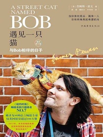 遇见一只猫：与Bob相伴的日子