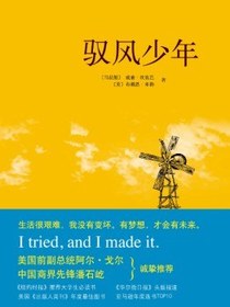 驭风少年
