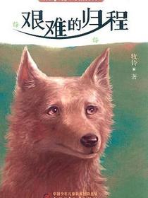 艰难的归程