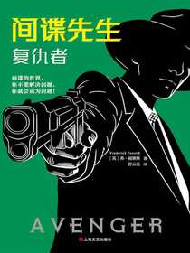 间谍先生：复仇者