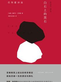 白石上的黑石