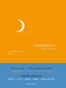 月亮是夜晚的伤口：罗伯特·瓦尔泽诗集