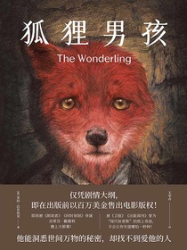 狐狸男孩