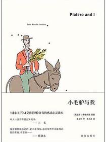 小毛驴与我