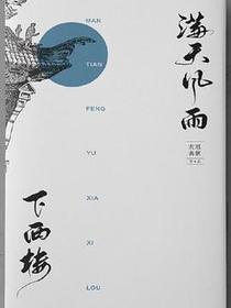 满天风雨下西楼