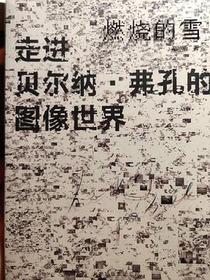 燃烧的雪