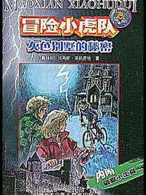 灰色别墅的秘密