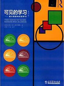 可见的学习