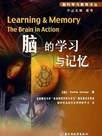 脑的学习与记忆