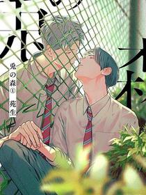 兎の森 1