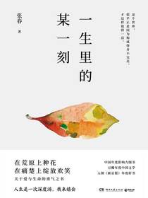 一生里的某一刻