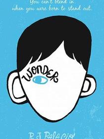 Wonder/奇迹男孩