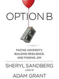 Option B